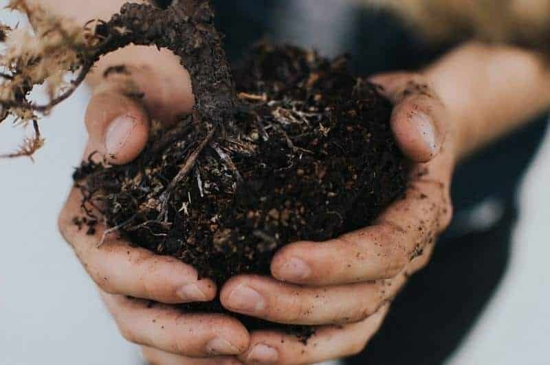 soil contents