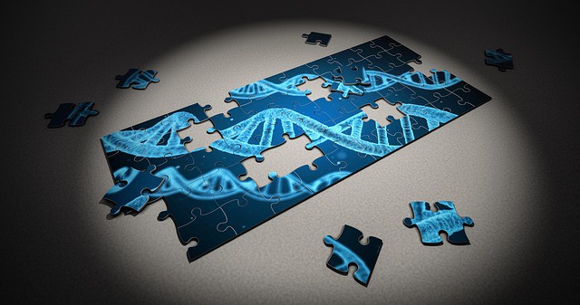 genes puzzle