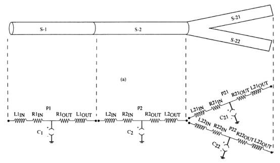 blood vessel bifurcation