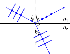 Bruster's angle