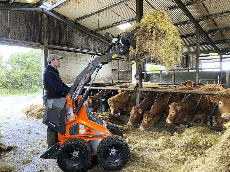 Mini Skid Steer feeding cows