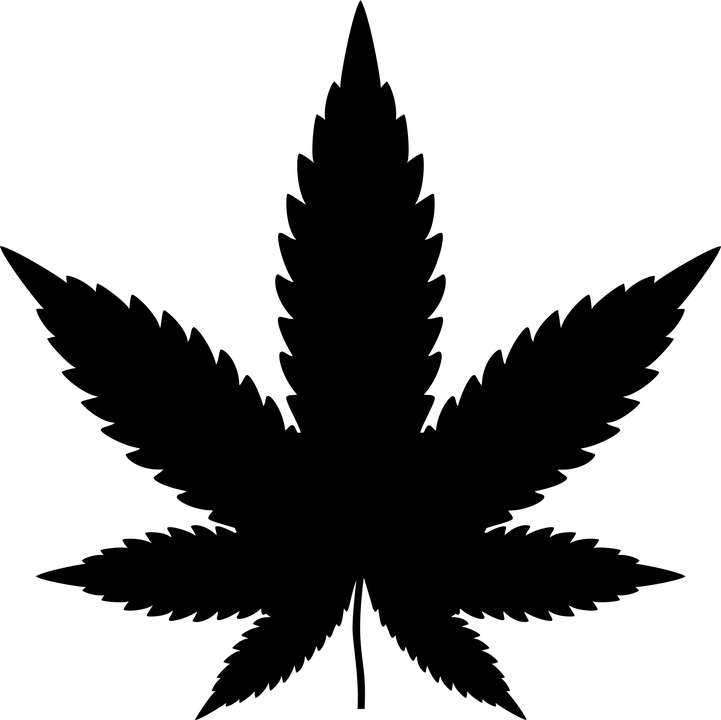 cannabis leaf