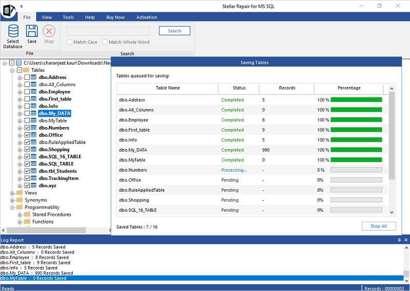 stellar DB repair tool in progress