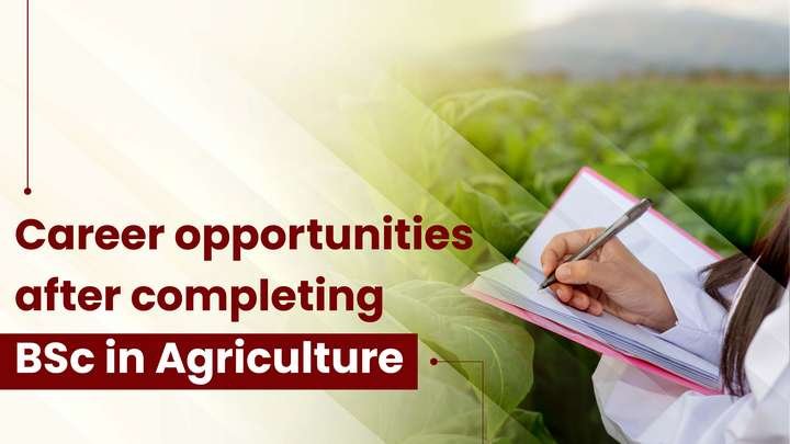 Career opportunities after completing BSc in Agriculture