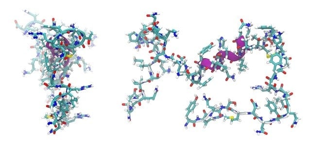 Protein Denaturation